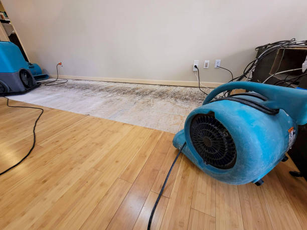 Professional Sewage Cleanup technician working in Monmouth Beach, NJ